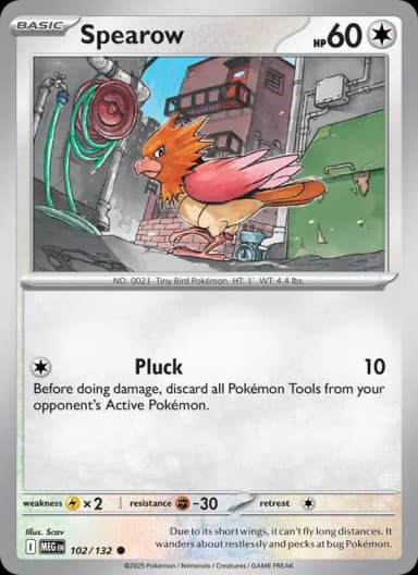 Spearow