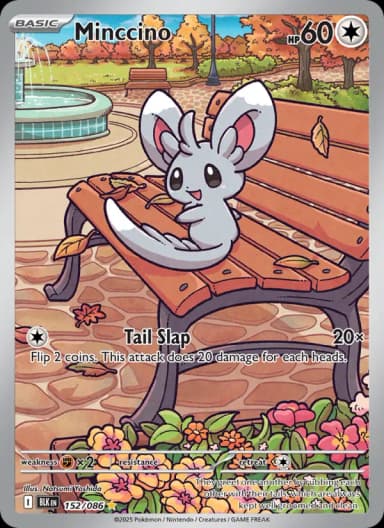 Minccino
