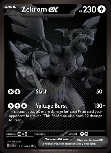 Zekrom ex
